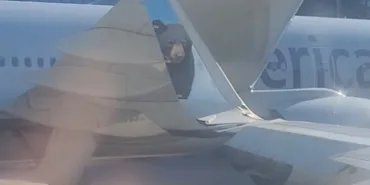 Boston Havalimanı’nda Kaos: 4 Uçak Kazaya Karıştı