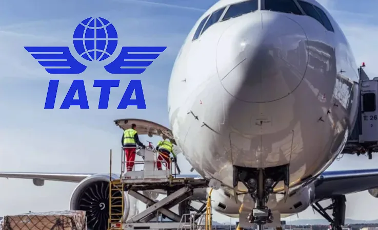 IATA, 2024 Yılı Hava Kargo Pazarlama Verilerini Açıkladı