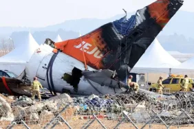 Jeju Air Uçağı Kaza Yaptı: Motorlarda Kuş Tüyleri Bulundu