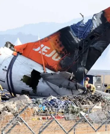 Jeju Air Uçağı Kaza Yaptı: Motorlarda Kuş Tüyleri Bulundu