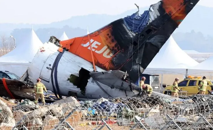 Jeju Air Uçağı Kaza Yaptı: Motorlarda Kuş Tüyleri Bulundu