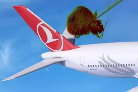 Türk Hava Yolları Yolcuları Tahtakurusu Şikayetleriyle Gündemde