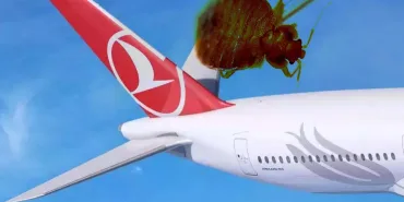 Türk Hava Yolları Yolcuları Tahtakurusu Şikayetleriyle Gündemde