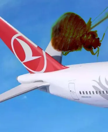 Türk Hava Yolları Yolcuları Tahtakurusu Şikayetleriyle Gündemde