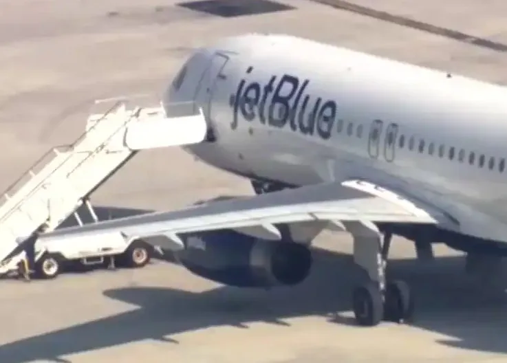 İniş Takımlarında İki Cansız Beden Bulundu