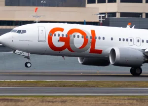 Bird-Strike-on-Boeing-737-Engine!-Emergency-Landing-Executed