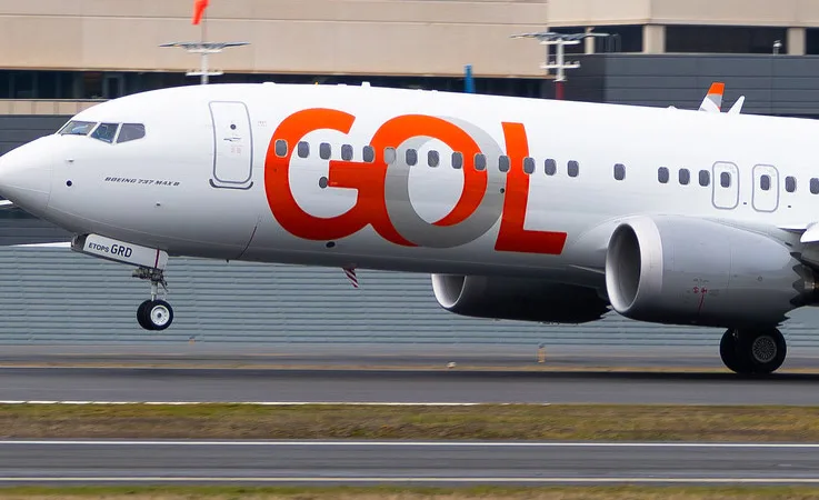 Boeing 737’nin Motoruna Kuş Çarptı! Acil İniş Gerçekleşti