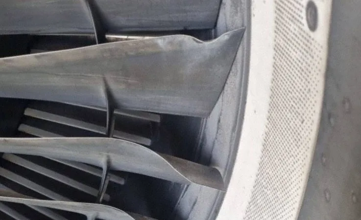 PIA'ya Ait Airbus A320 Kuş Çarpması Nedeniyle Acil Dönüş Yaptı