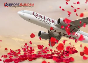 Qatar-Airways-Cargo’dan-Sevgililer-Günü-İçin-42-Milyon-Gül-Taşıması