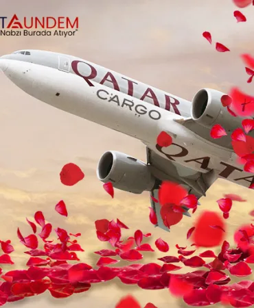 Qatar-Airways-Cargo’dan-Sevgililer-Günü-İçin-42-Milyon-Gül-Taşıması
