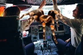 Tarantula Isırdı, Pilot Direndi! Uçakta Saatlerce Süren Kriz 9 Havacılık Haberleri Havacılık Haberleri Tarantula Isırdı, Pilot Direndi! Uçakta Saatlerce Süren Kriz