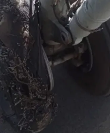 Cezayir’de Uçağın Lastiği Kalkışta Patladı!
