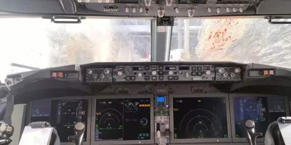 Tui Uçağı Havada Kuğularla Çarpıştı, Pilotlar Acil Durum İlan Etti