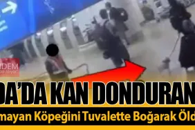 Florida’da Kan Donduran Olay! Uçağa Alınmayan Köpeğini Tuvalette Boğarak Öldürdü