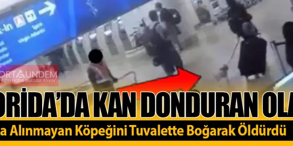 Florida’da Kan Donduran Olay! Uçağa Alınmayan Köpeğini Tuvalette Boğarak Öldürdü