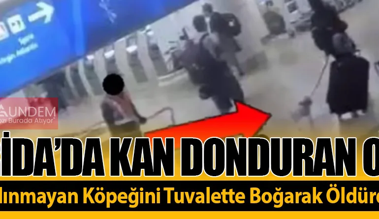 Florida’da Kan Donduran Olay! Uçağa Alınmayan Köpeğini Tuvalette Boğarak Öldürdü