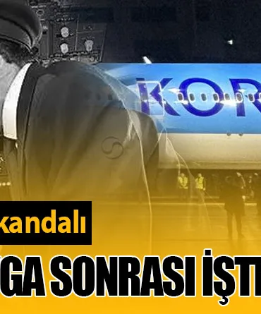 Korean Air'da Pilot Skandalı: Yumruklu Kavga Sonrası İşten Çıkarma