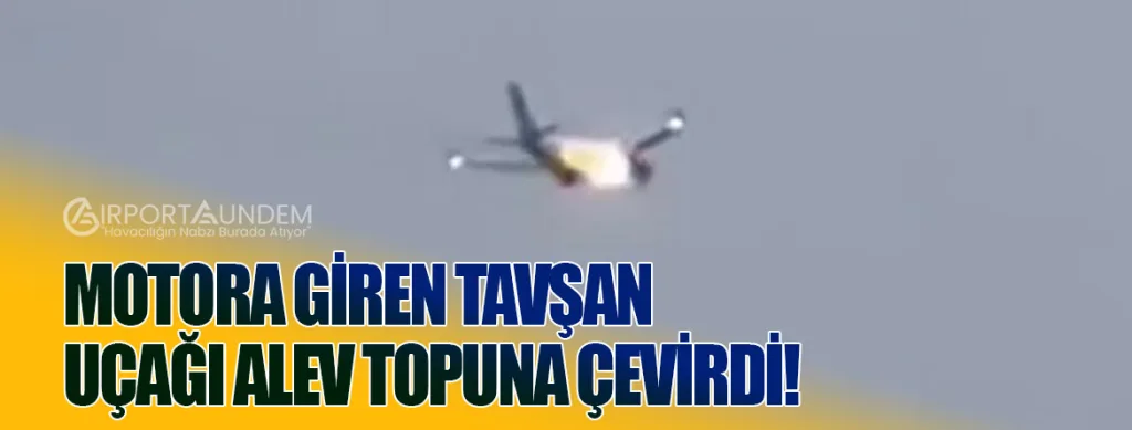 Motora Giren Tavşan Uçağı Alev Topuna Çevirdi!