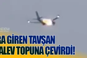 Motora Giren Tavşan Uçağı Alev Topuna Çevirdi!