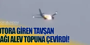 Motora Giren Tavşan Uçağı Alev Topuna Çevirdi!