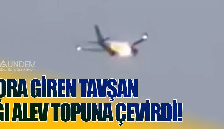 Motora Giren Tavşan Uçağı Alev Topuna Çevirdi!