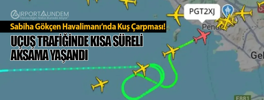 Sabiha Gökçen Havalimanı’nda Kuş Çarpması! Uçuş Trafiğinde Kısa Süreli Aksama Yaşandı