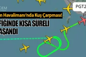 Sabiha Gökçen Havalimanı’nda Kuş Çarpması! Uçuş Trafiğinde Kısa Süreli Aksama Yaşandı