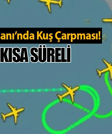 Sabiha Gökçen Havalimanı’nda Kuş Çarpması! Uçuş Trafiğinde Kısa Süreli Aksama Yaşandı