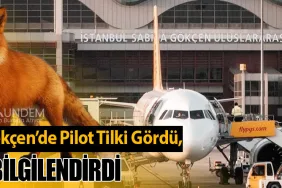 Sabiha Gökçen’de Pilot Tilki Gördü, Kuleyi Bilgilendirdi