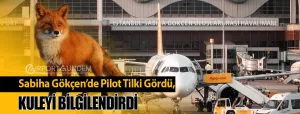 Sabiha-Gökçen’de-Pilot-Tilki-Gördü,-Kuleyi-Bilgilendirdi