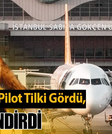 Sabiha Gökçen’de Pilot Tilki Gördü, Kuleyi Bilgilendirdi