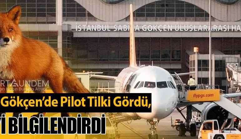 Sabiha Gökçen’de Pilot Tilki Gördü, Kuleyi Bilgilendirdi