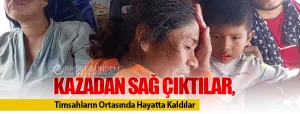 Kazadan-Sağ-Çıktılar,-Timsahların-Ortasında-Hayatta-Kaldılar