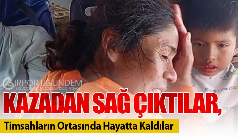 Kazadan Sağ Çıktılar, Timsahların Ortasında Hayatta Kaldılar