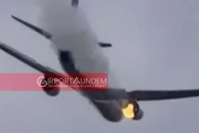 NTSB Raporu Ortaya Koydu: Kuşlar FedEx Uçağını Havada Felakete Sürükledi