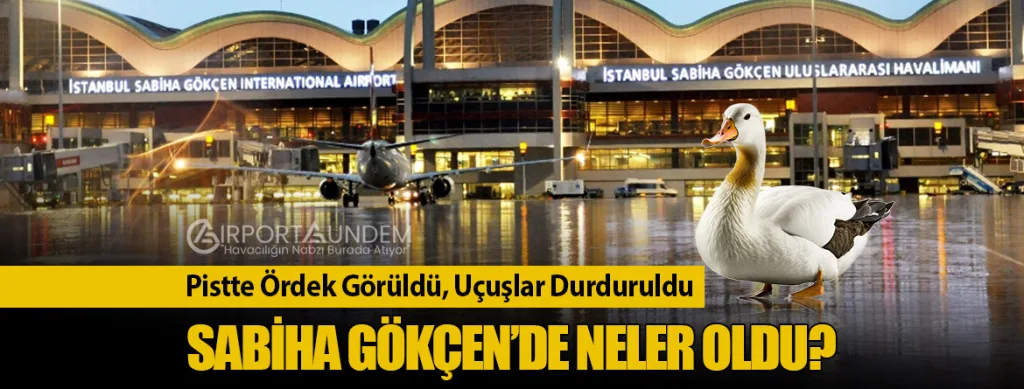 Pistte Ördek Görüldü, Uçuşlar Durduruldu: Sabiha Gökçen’de Neler Oldu?
