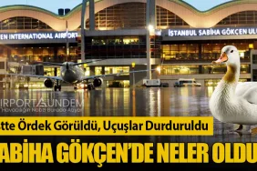Pistte Ördek Görüldü, Uçuşlar Durduruldu: Sabiha Gökçen’de Neler Oldu?