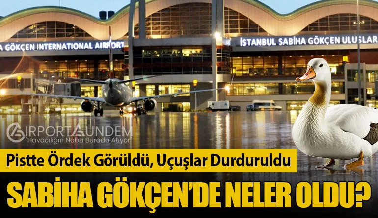 Pistte Ördek Görüldü, Uçuşlar Durduruldu: Sabiha Gökçen’de Neler Oldu?