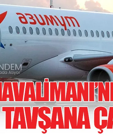 Soçi Havalimanı’nda Uçak Tavşana Çarptı