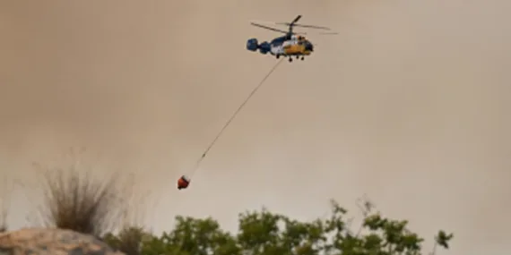 Adana’da Orman Yangını: 12 Helikopter ve 2 Uçakla Müdahale Sürüyor