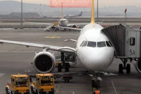 Sabiha Gökçen’de Hava Trafiğine Tavşan Engeli