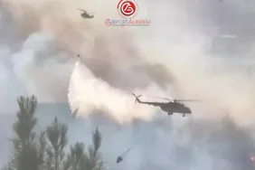 Alevler Sınırı Aştı, Türkiye Alarmda! Yayladağı’nda Kritik Müdahale