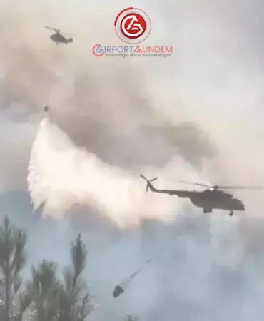 Alevler Sınırı Aştı, Türkiye Alarmda! Yayladağı’nda Kritik Müdahale