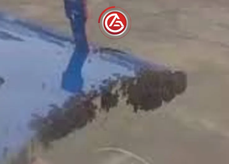 Arı Saldırısı Uçağı Durdurdu: Hindistan’da Airbus A320 Kalkış Yapamadı!