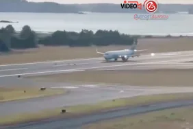 Hayvanlar Tehlike Saçıyor: Uçak Bu Kez Geyiklere Çarptı