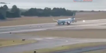 Hayvanlar Tehlike Saçıyor: Uçak Bu Kez Geyiklere Çarptı