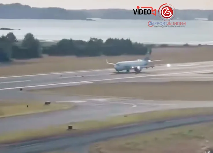 Hayvanlar Tehlike Saçıyor: Uçak Bu Kez Geyiklere Çarptı