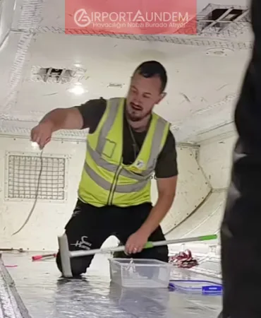 Virgin Australia Uçağında Yılan Paniği!