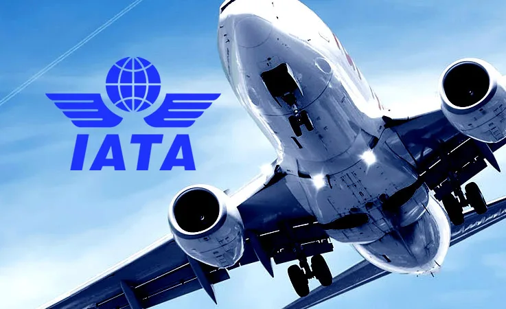 IATA’dan 2024 Raporu: ABD, 876 Milyon Yolcuyla Dünyanın Havacılık Lideri