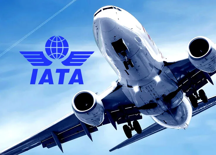 IATA’dan 2024 Raporu: ABD, 876 Milyon Yolcuyla Dünyanın Havacılık Lideri